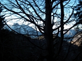 Invernale in Cima Camplano dal Passo-Monte di Zambla il 25 gennaio 2012 - FOTOGALLERY